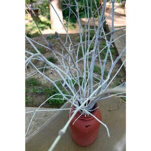 White twig Sculpture In A Jar